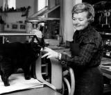 图莉基·皮耶蒂莱 图莉基·皮耶蒂莱